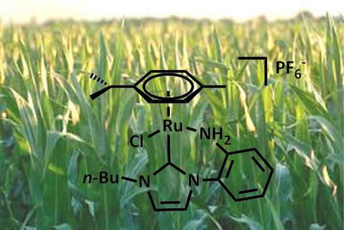 Chemistry for Biomass conversion