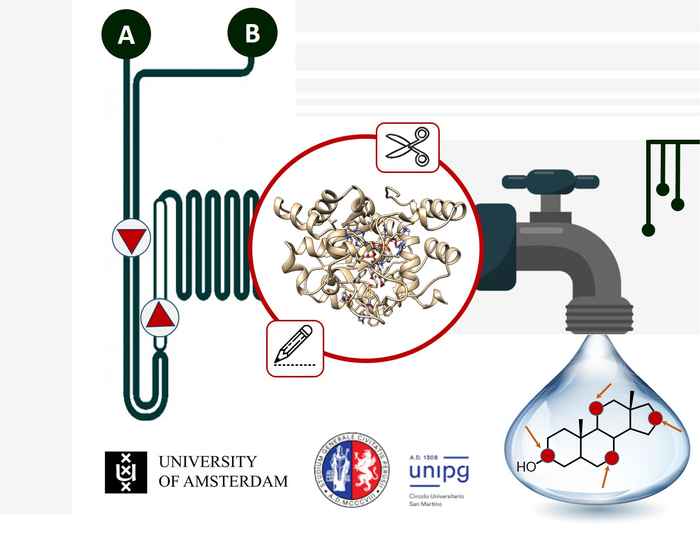 schematic representation of the proposed research