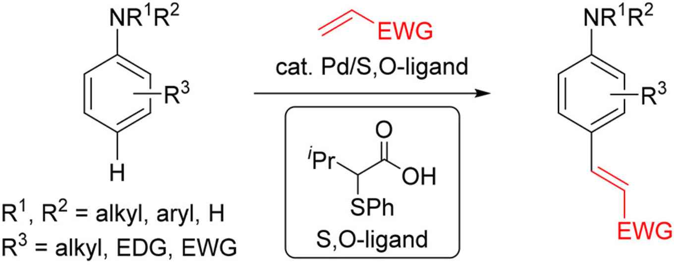 Reaction scheme para-selective C–H olefination of aniline derivatives by Pd/S,O-ligand catalysis